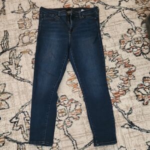 Banana Republic Blue Skinny Jeans Classic Style